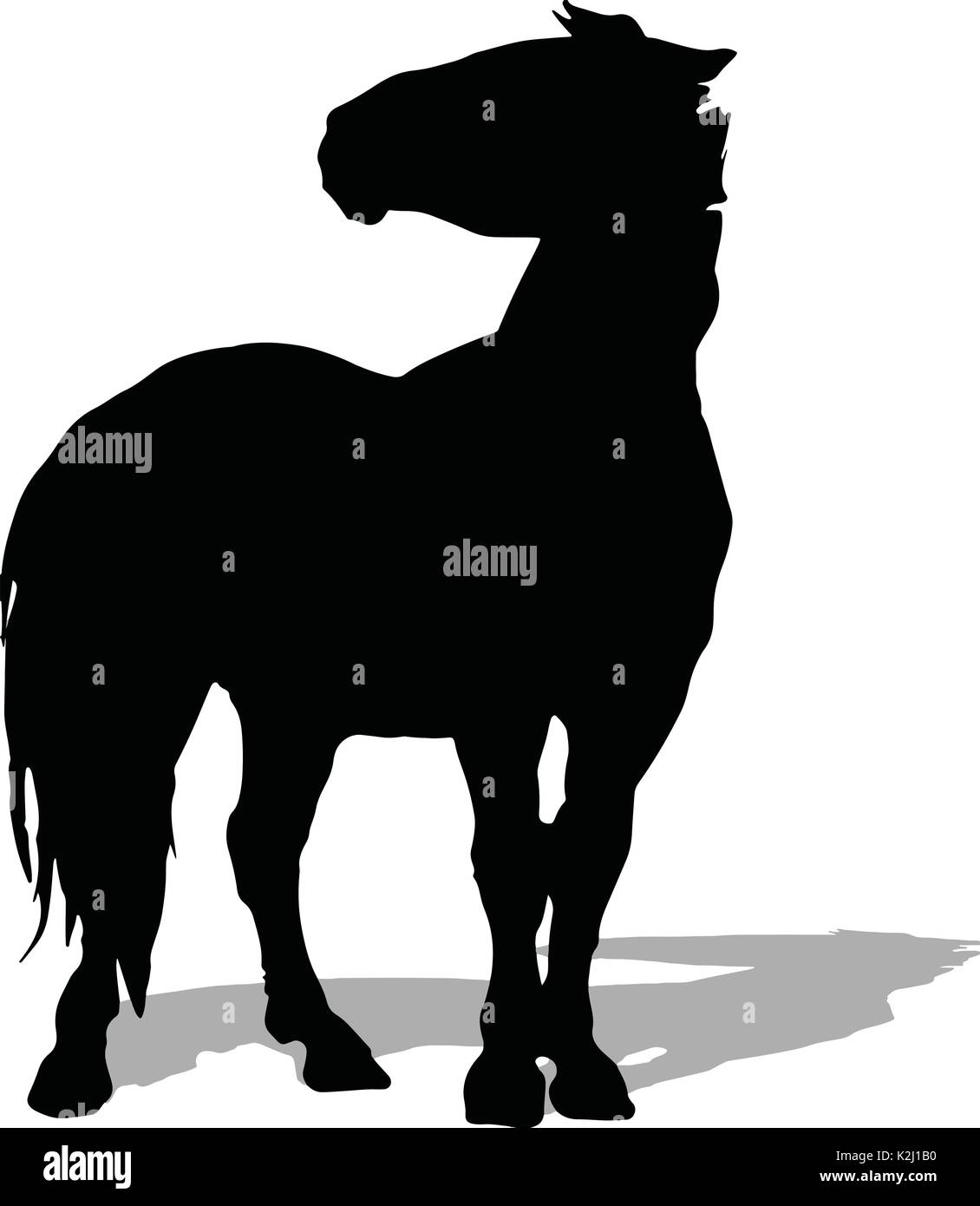 Allevamento di cavalli vettore sottili silhouette e contorno - grazioso stalloni nero contro bianco Illustrazione Vettoriale