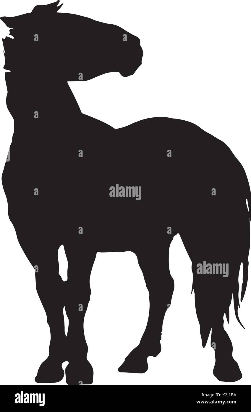Allevamento di cavalli vettore sottili silhouette e contorno - grazioso stalloni nero contro bianco Illustrazione Vettoriale