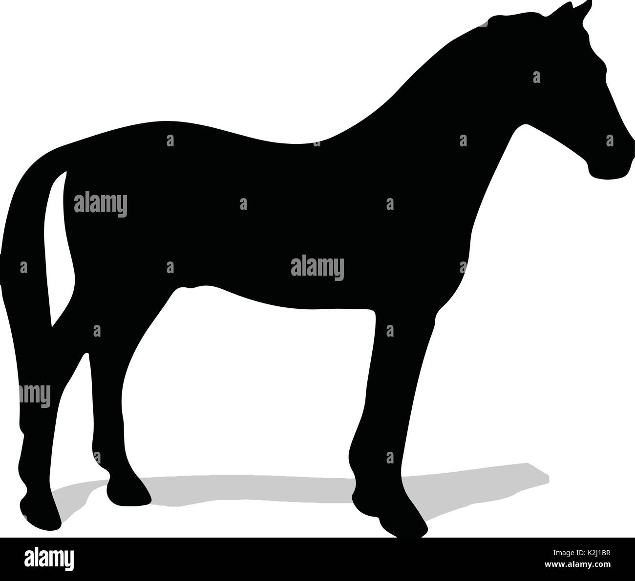 Allevamento di cavalli vettore sottili silhouette e contorno - grazioso stalloni nero contro bianco Illustrazione Vettoriale