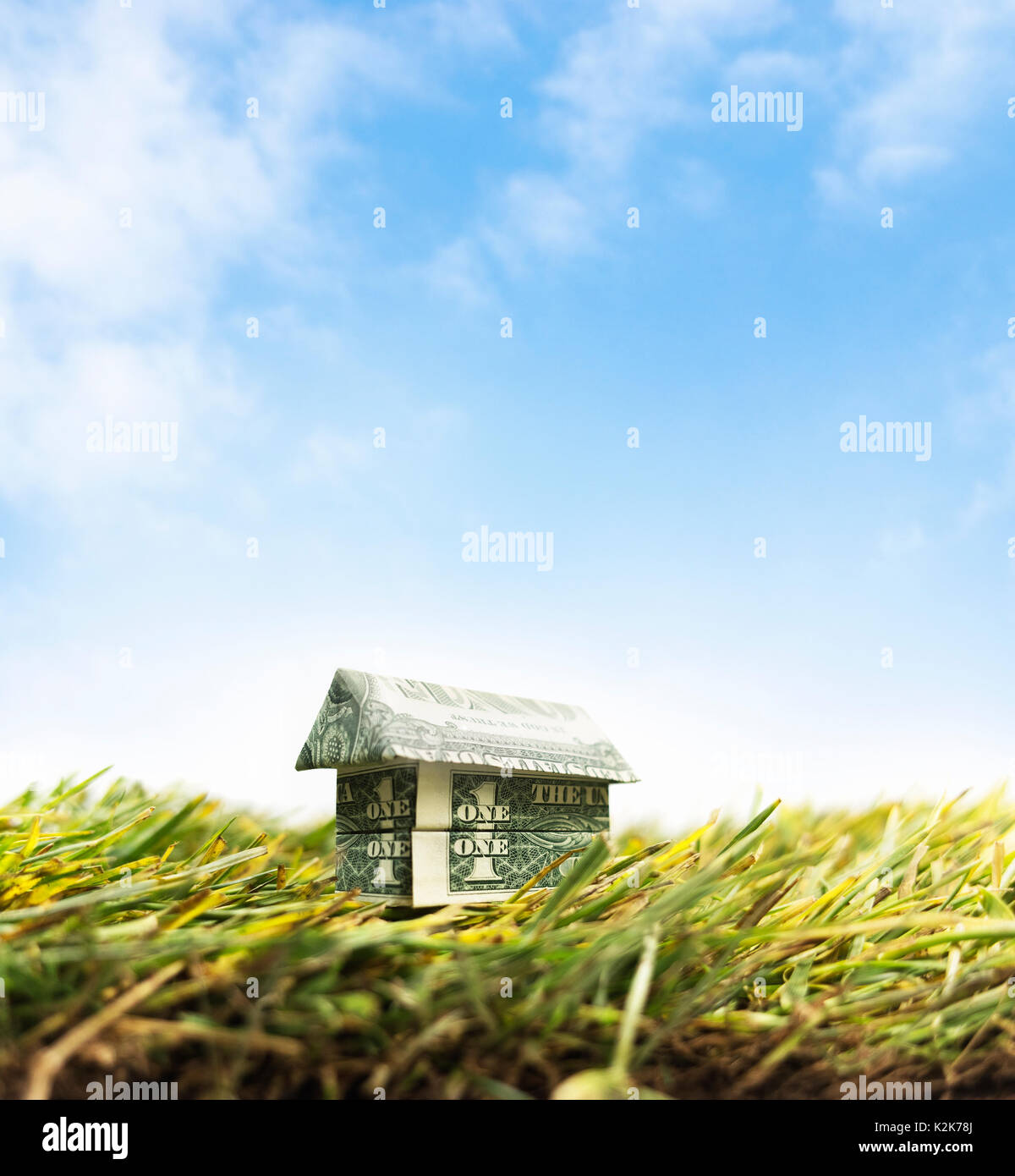 Origami di denaro a casa sull'erba. going green - origami cash house sull'erba. Foto Stock