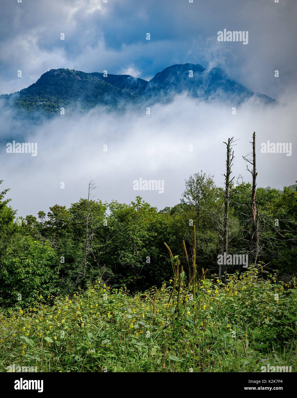 Nonno Mountain nella nebbia Linville, North Carolina - Moody nonno Mountain affiora attraverso la nebbia, Blue Ridge Parkway nuvole temporalesche Foto Stock