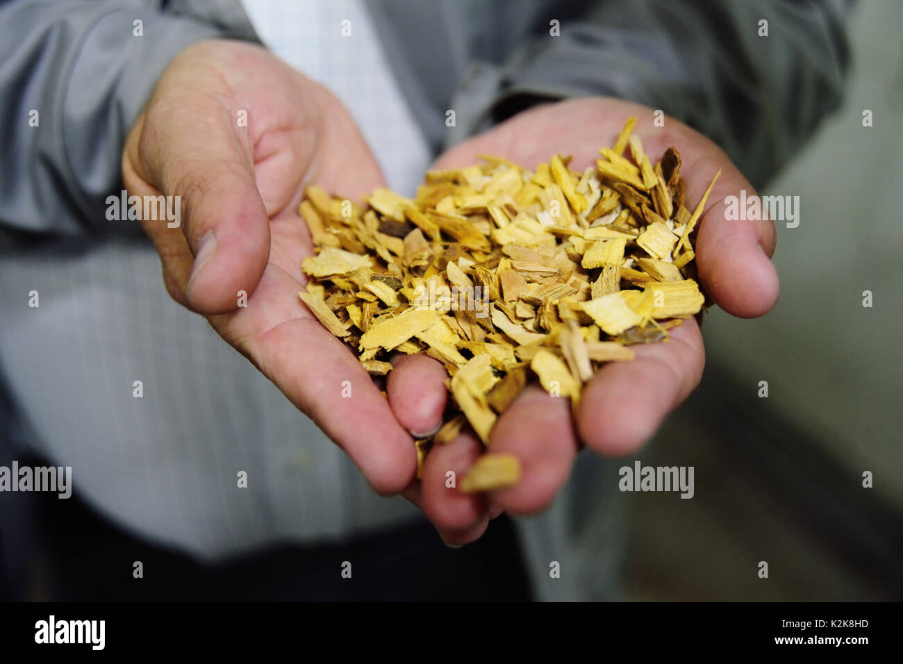 Chip per la salsiccia di affumicatoio closeup Foto Stock