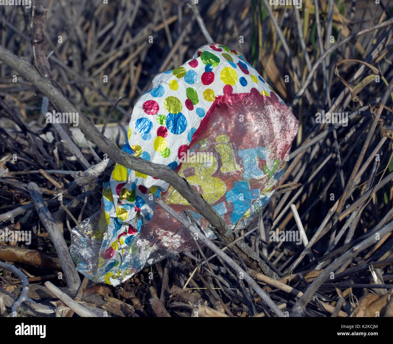 Rilasciato il Mylar palloncini di ritorno a massa, spesso nei laghi e negli oceani. Nella foto è uno degli otto trovato lavato fino all'interno di 700 piedi del lago Michigan litorale vicino a due fiumi, Wisconsin. I palloncini rappresentano un pericolo per la fauna selvatica, come un curioso animali e uccelli possono ingerire alcuni della plastica o impigliarsi nelle allegate nastri. Il Mylar non biodegradabilità, in modo che possano rimanere in ambiente per anni. Foto Stock