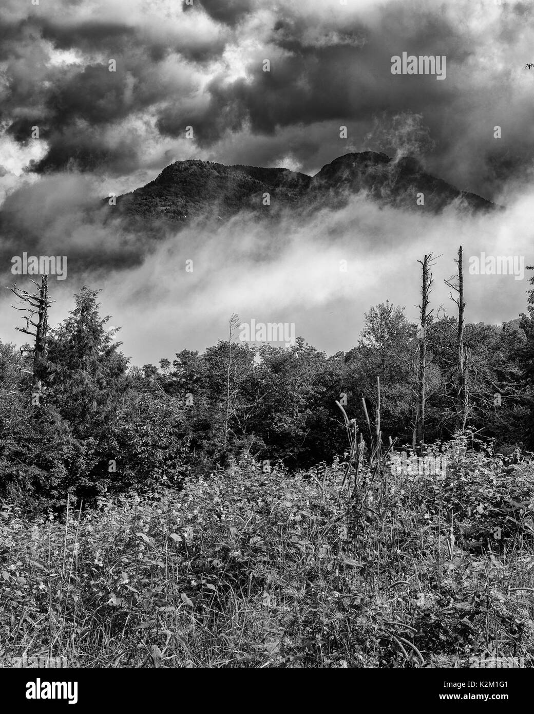 Nonno Mountain nella nebbia Linville, North Carolina - Moody nonno Mountain affiora attraverso la nebbia, Blue Ridge Parkway nuvole temporalesche Foto Stock