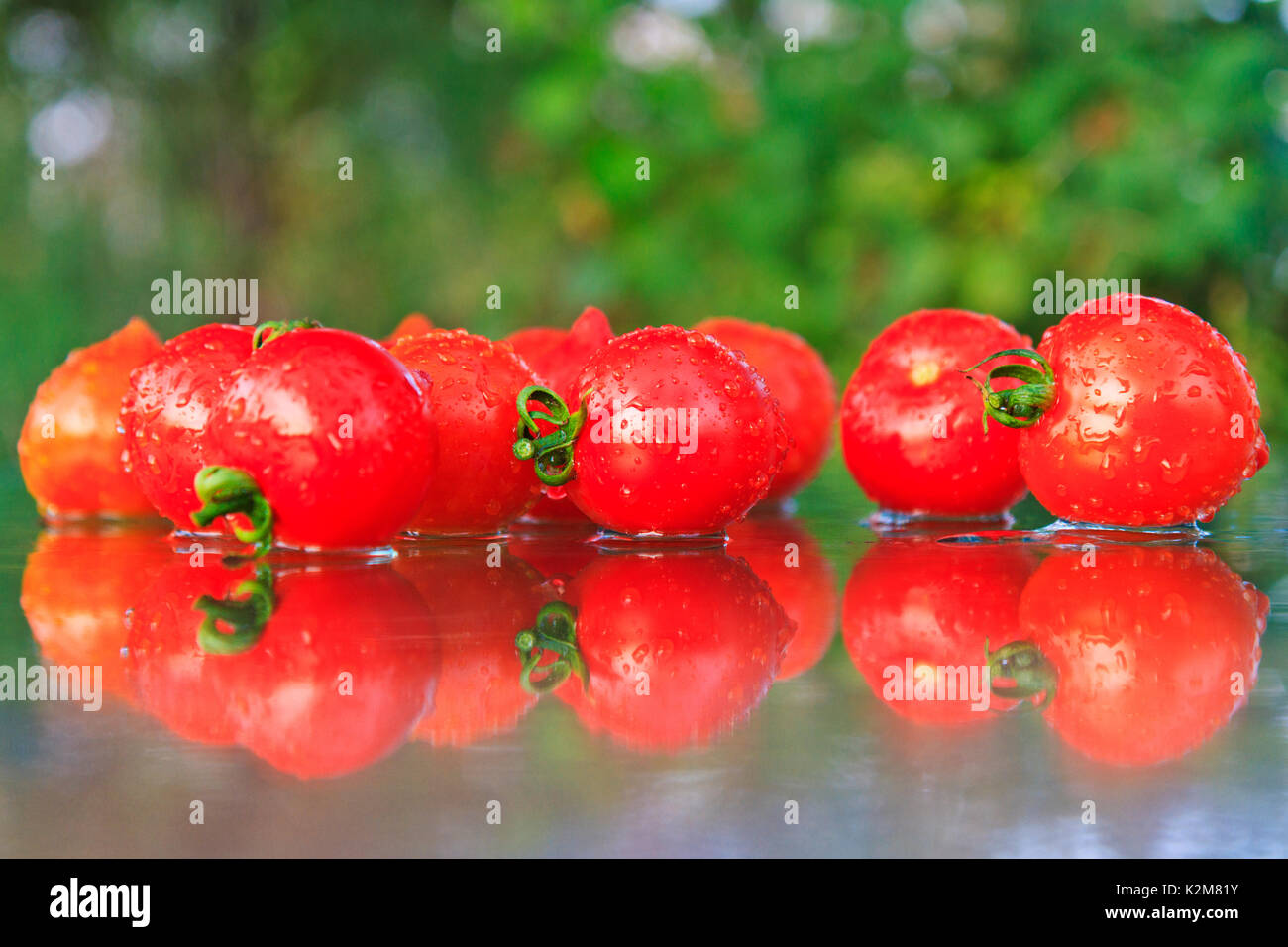 Pomodori rossi sul tavolo Foto Stock