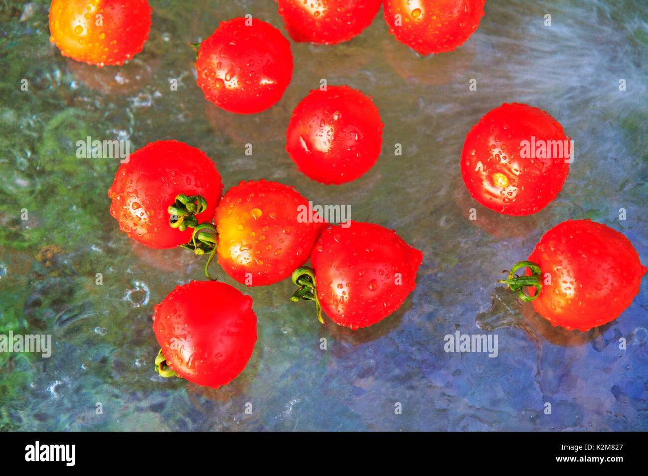 Freschi pomodori rossi con spruzzi di acqua Foto Stock