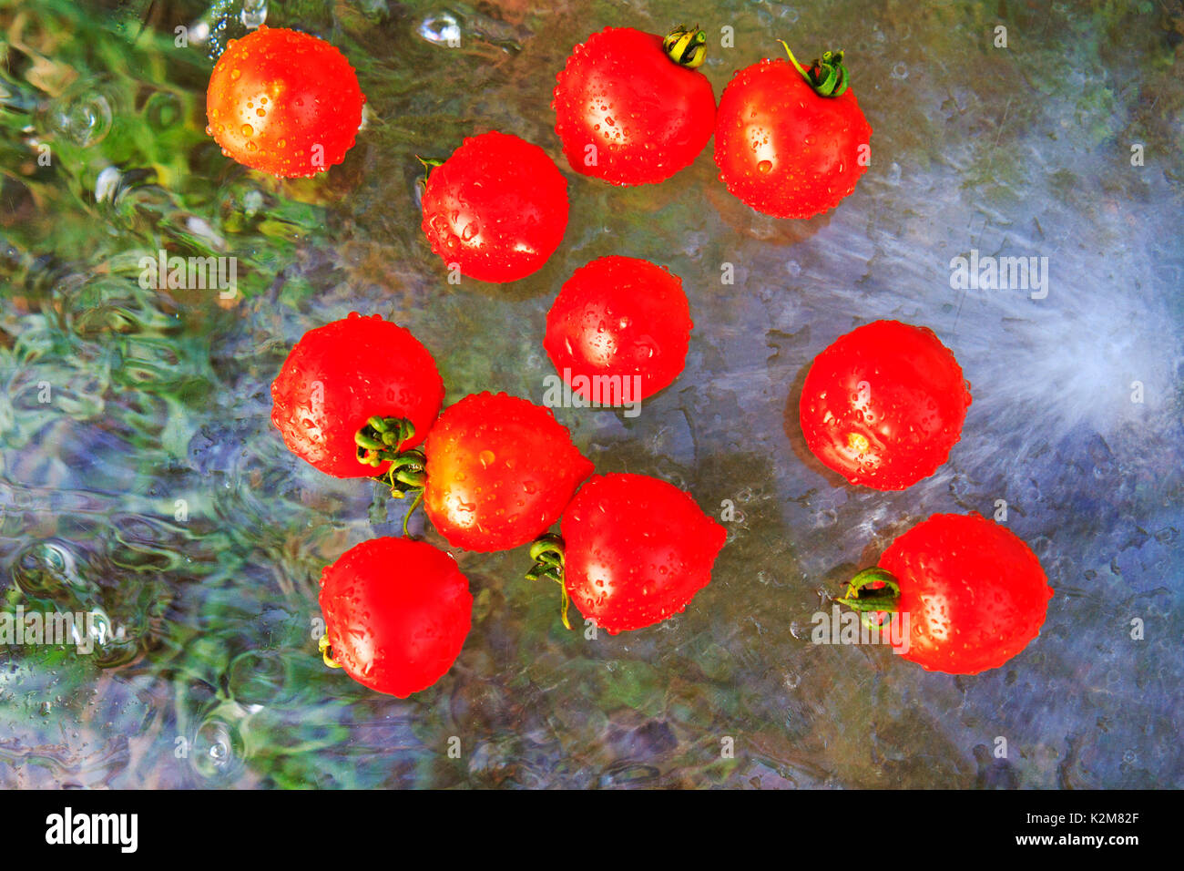 Verdure fresche direttamente dal giardino Foto Stock