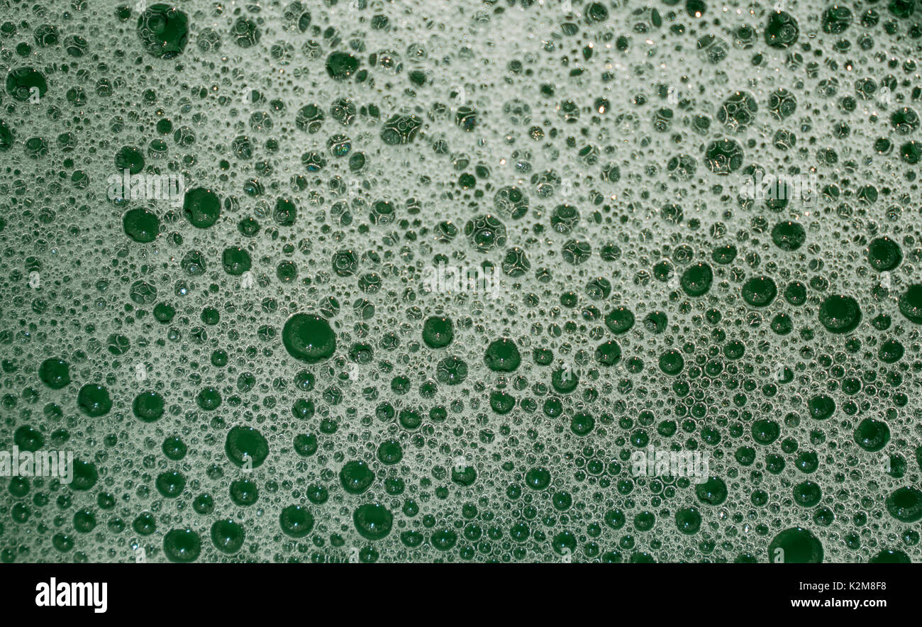 Il verde delle bolle e di schiuma, texture e pattern, costituito da prodotti di pulizia, closeup macro Foto Stock