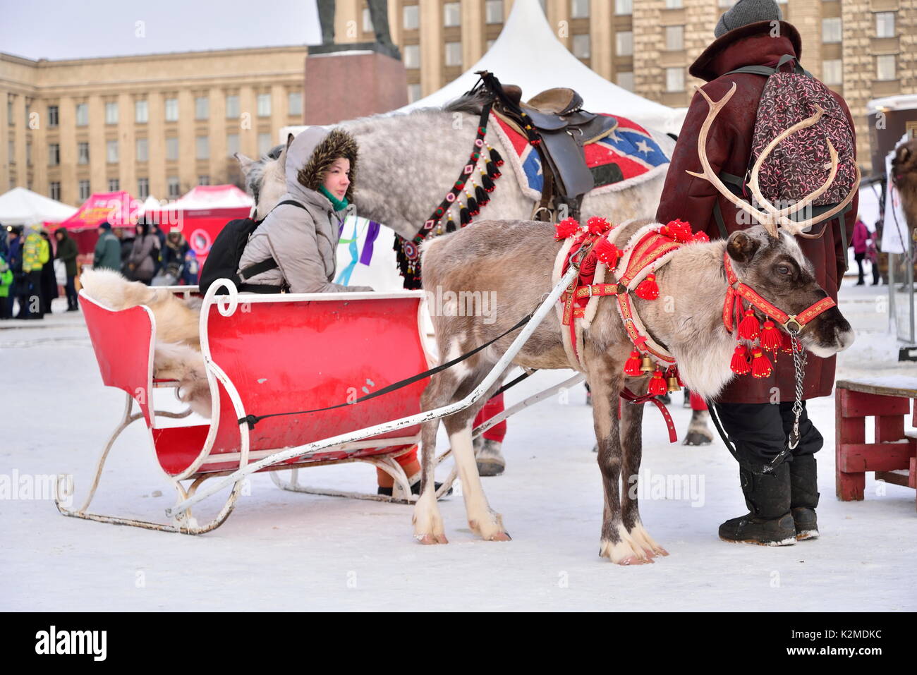 La renna Sleigh il Martedì Grasso nella regione di Mosca Foto Stock