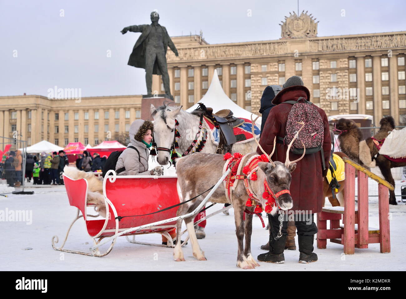 La renna Sleigh il Martedì Grasso nella regione di Mosca Foto Stock