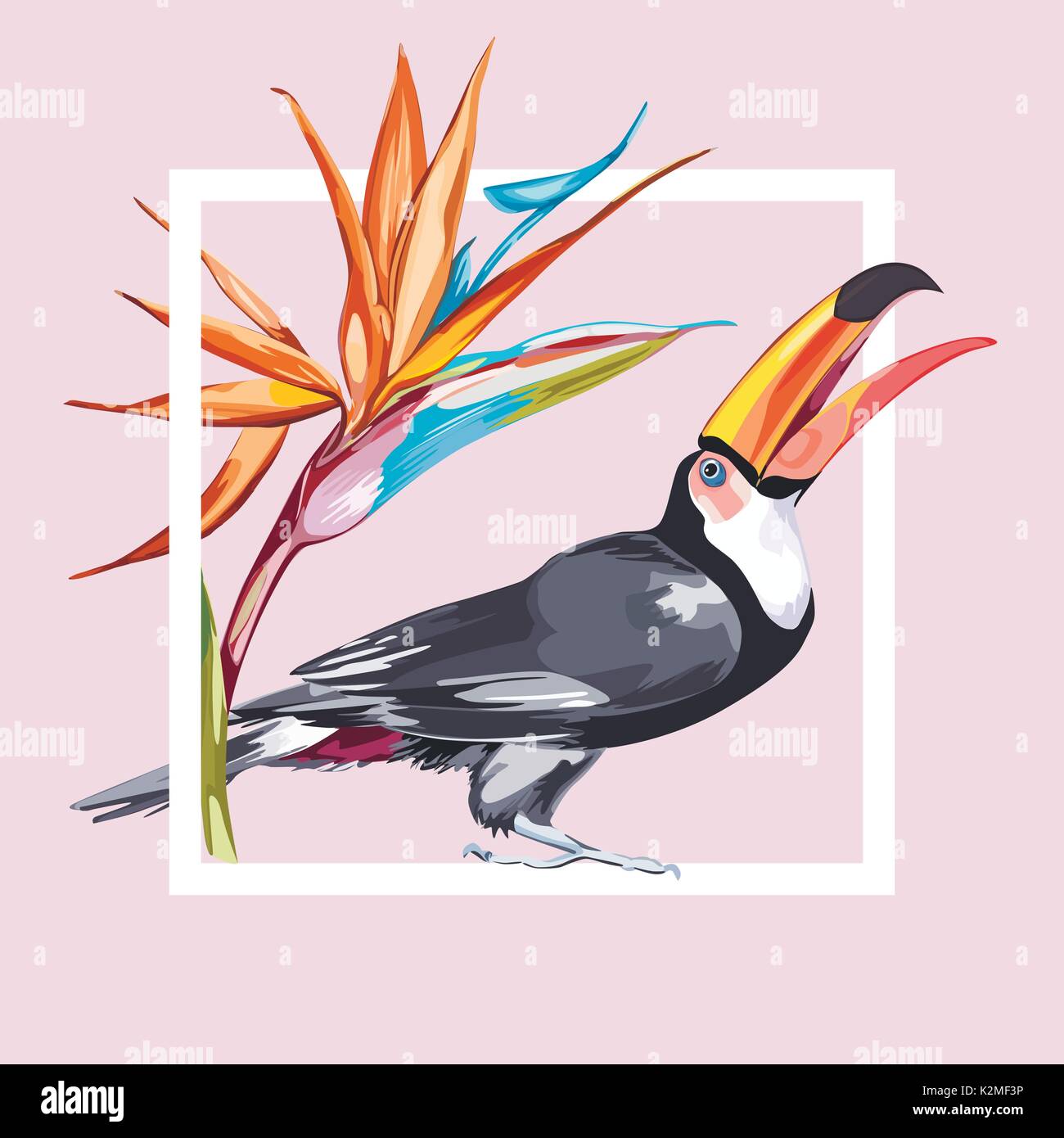 Toucan con fiori tropicali strelitzia. Elemento per la progettazione di inviti, poster, tessuti e altri oggetti. Isolato su bianco. Illustrazione Vettoriale