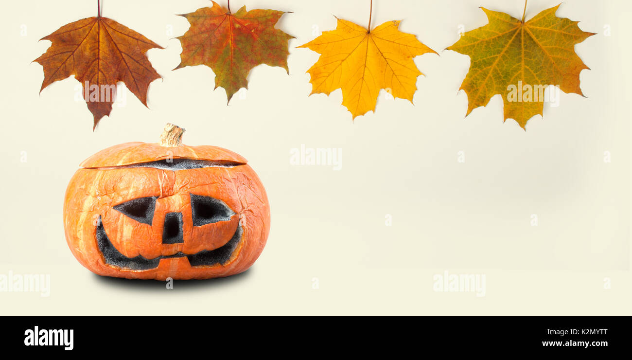 Decorazione Halloween modello con zucca arancione colorati di foglie di  acero. Scary face vacanza oggetti di ornamento vista macro, profondità di  campo, copia dello spazio Foto stock - Alamy