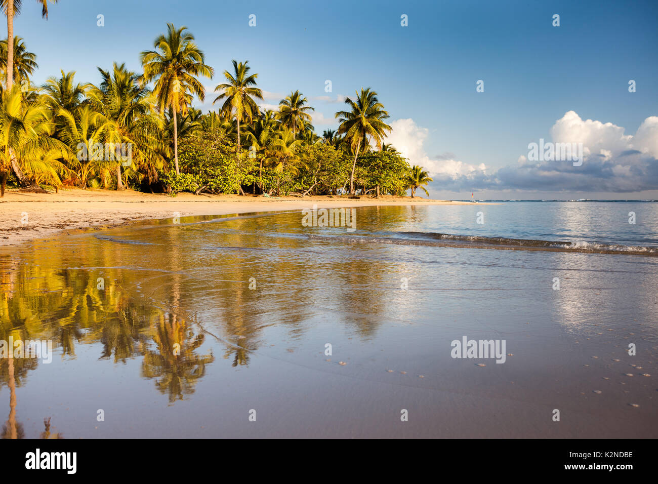 Spiaggia tropicale a Samaná, Repubblica Dominicana Foto Stock