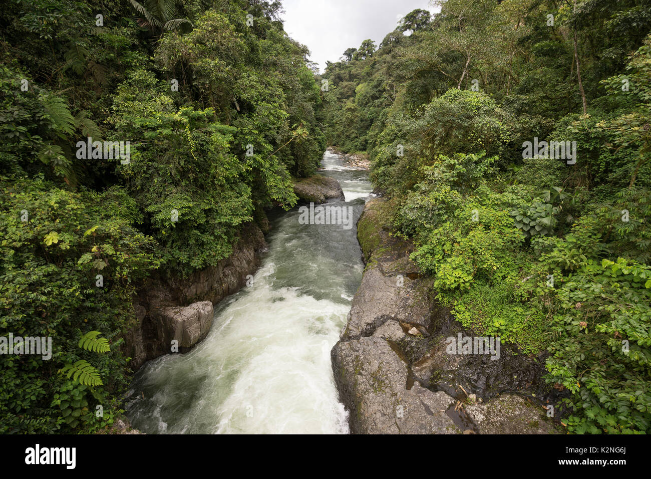 Fiume attraverso la giungla in Amazzonia ecuadoriana area Foto Stock