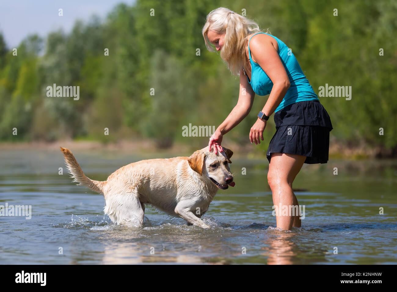 Immagine di una bella donna che gioca con un labrador cane in un lago Foto Stock