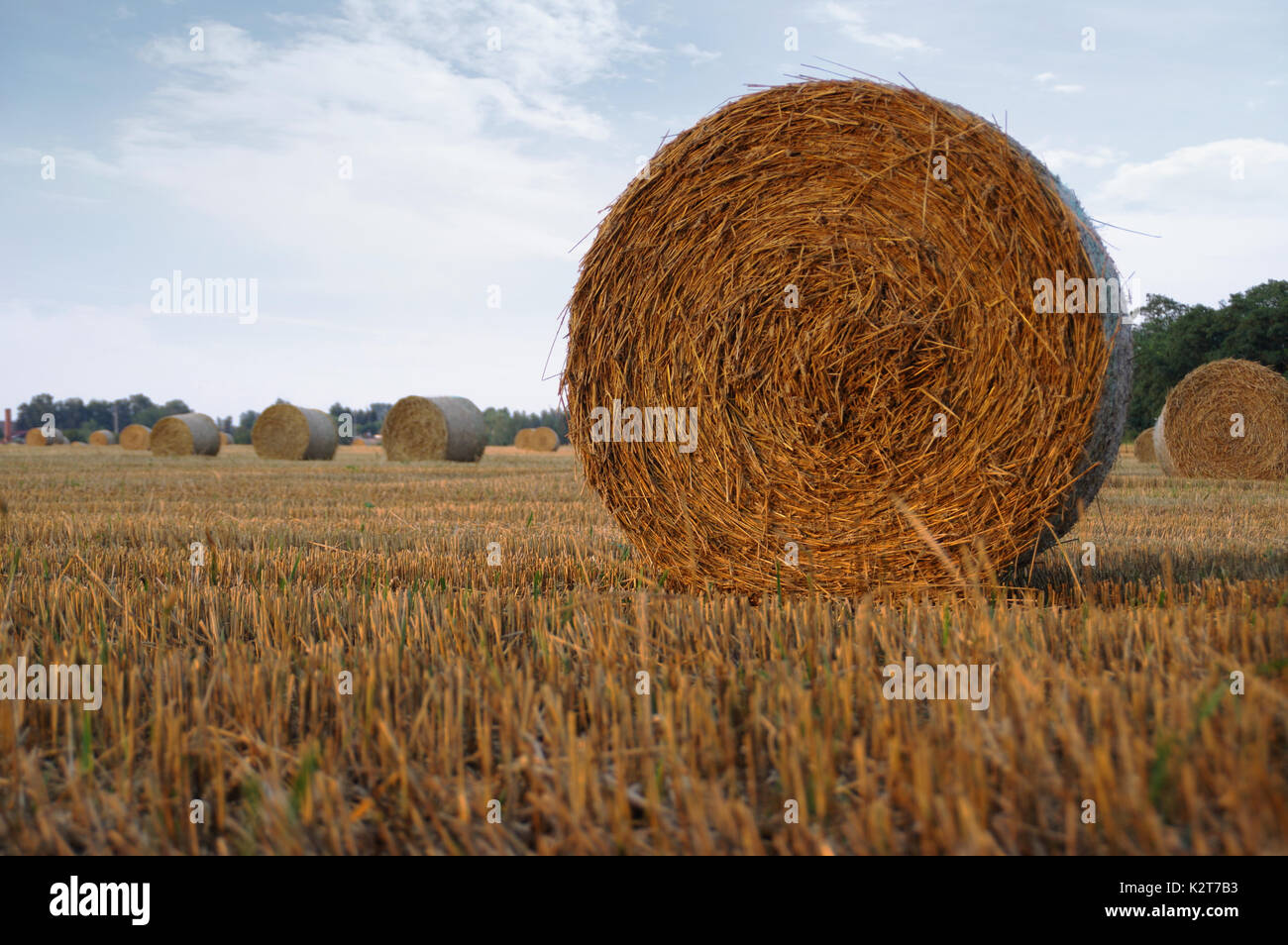 Asciugare le balle di fieno dopo la falciatura sul campo con il villaggio in background Foto Stock