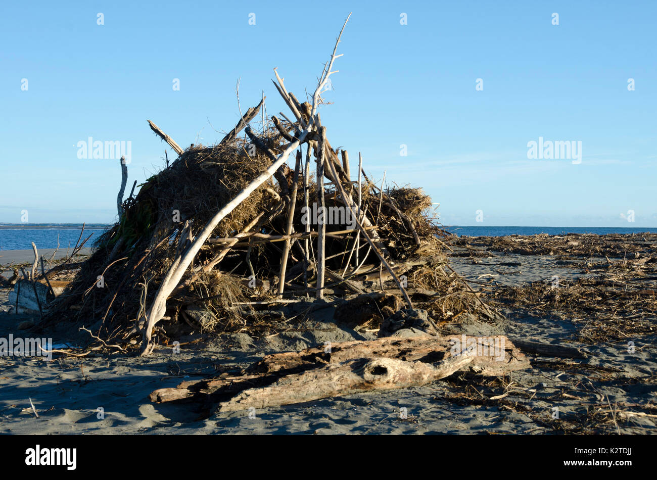 Driftwood rifugio sulla spiaggia a Ohiwa, vicino Opotiki, Baia di Planty, Isola del nord, Nuova Zelanda Foto Stock