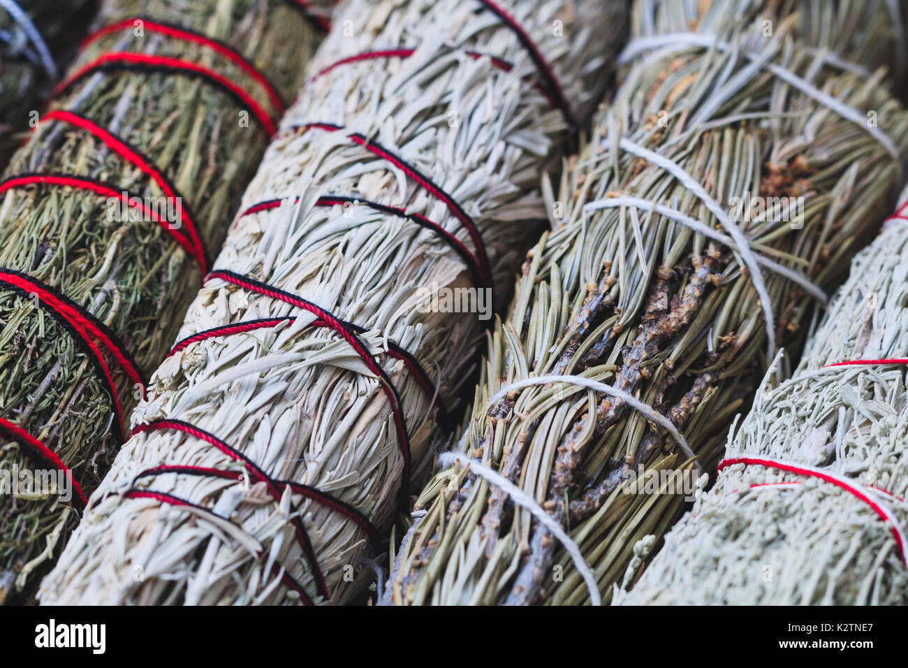 Vista superiore del bendato rami di erbe secche: sage, assenzio, pino e bacche di ginepro Foto Stock