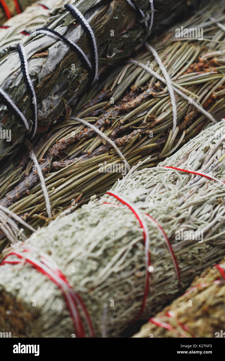 Close-up del bendato rami di erbe secche: sage, assenzio, pino e bacche di ginepro Foto Stock