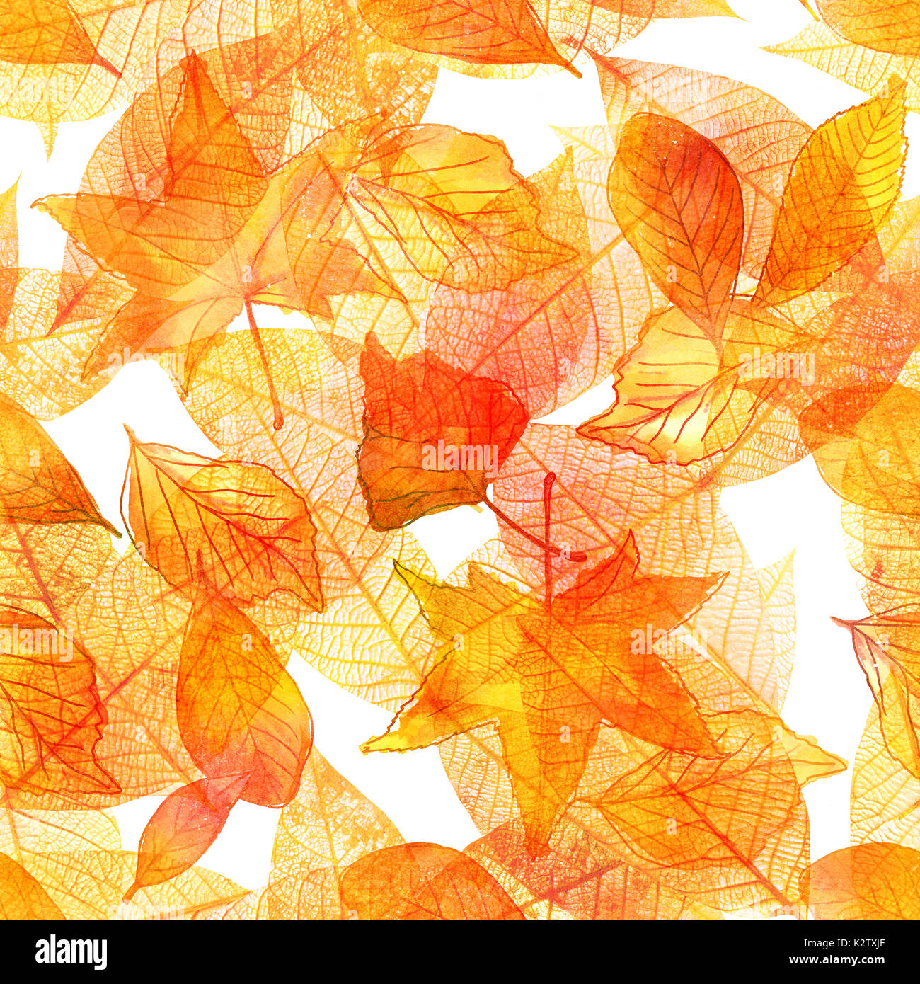 Una semplice configurazione di sfondo di Golden Autumn Leaves su uno sfondo bianco, autunnale di ripetizione della stampa Foto Stock