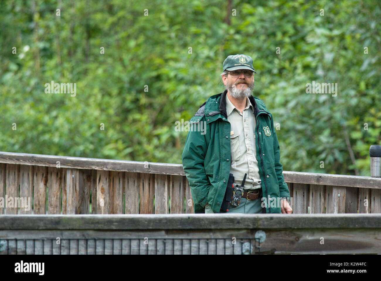 Ranger del volontariato al Fish Creek di osservazione della fauna selvatica sito, Tongass National Forest, Hyder, Alaska, STATI UNITI D'AMERICA Foto Stock