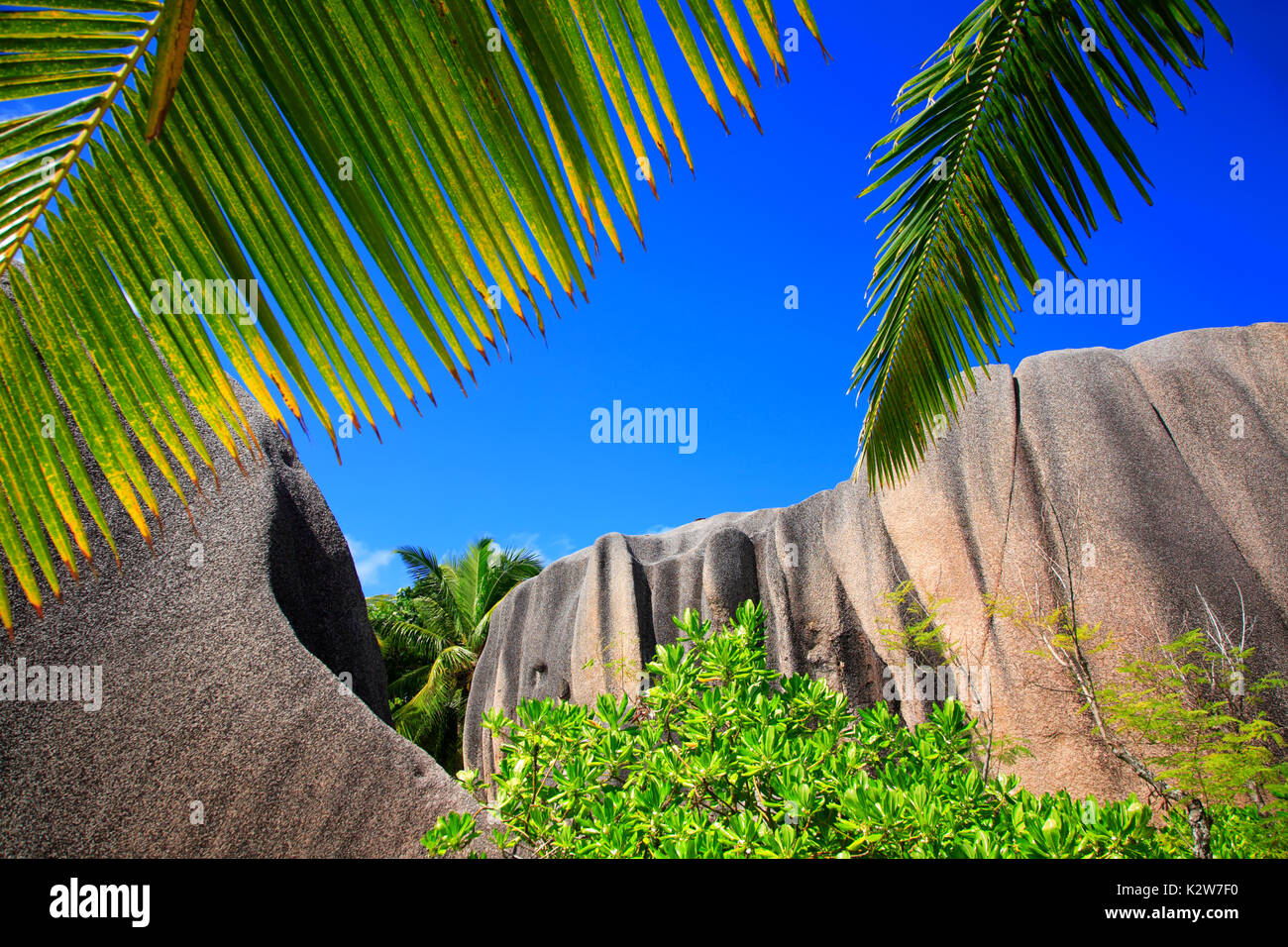 Palme e rocce di granito, isola di La Digue, Repubblica delle Seicelle. Foto Stock