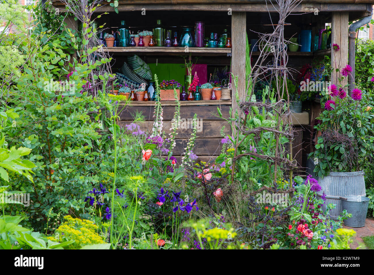 BBC Radio, il riso Anneka Taglio colore giardino, designer Sarah Raven Foto Stock