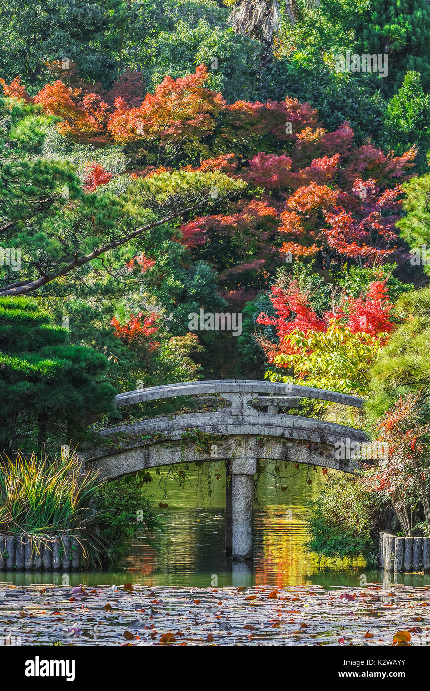 Kyoto, Giappone - 20 Novembre 2013: Ryoan-ji tempio motivi includono anche un relativamente area parco con un laghetto, situato al di sotto del tempio dei principali edifici Foto Stock