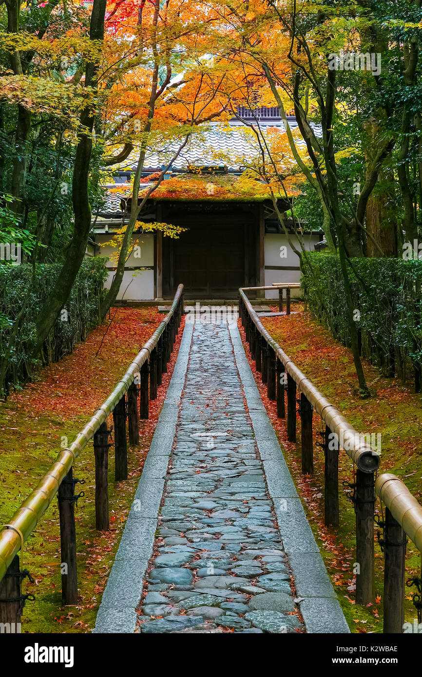 Autunno a Koto-in un Sub Tempio del tempio Daitokuji a Kyoto, Giappone KYOTO, Giappone - 23 novembre 2015: Koto-nel tempio è uno di Daitokuji sub templi, f Foto Stock
