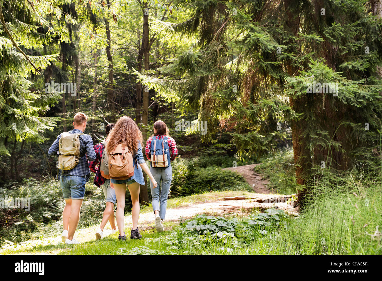 Gli adolescenti con zaini trekking nella foresta. La vacanza estiva. Foto Stock