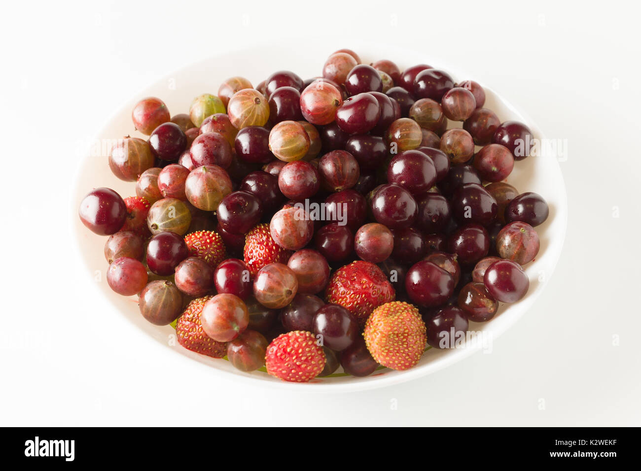 Fresca assortita di frutti di bosco giardino in una piastra bianca Foto Stock