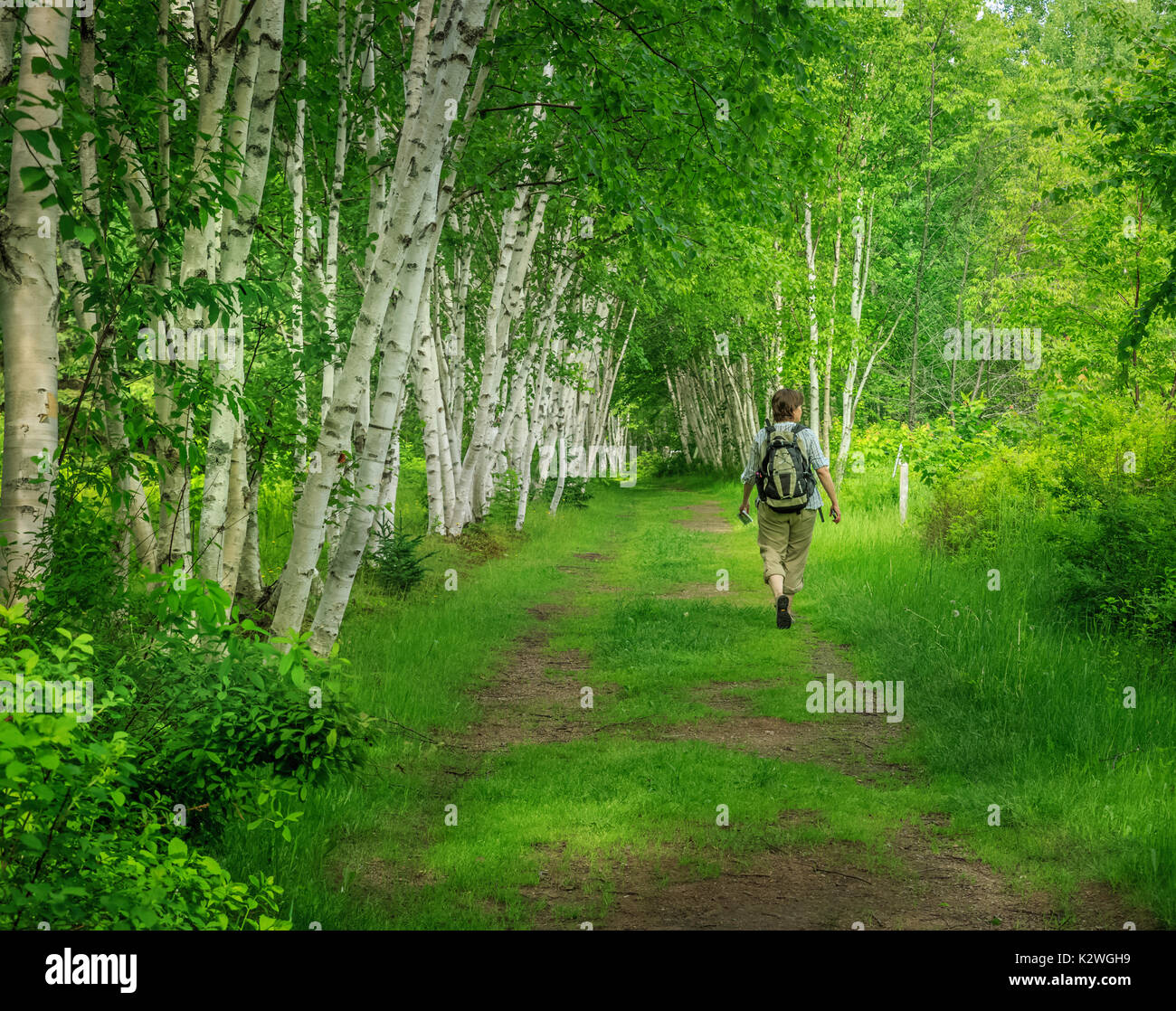 Escursionista passeggiate lungo il sentiero a Daly punto Riserva Naturale, New Brunswick, Canada Foto Stock