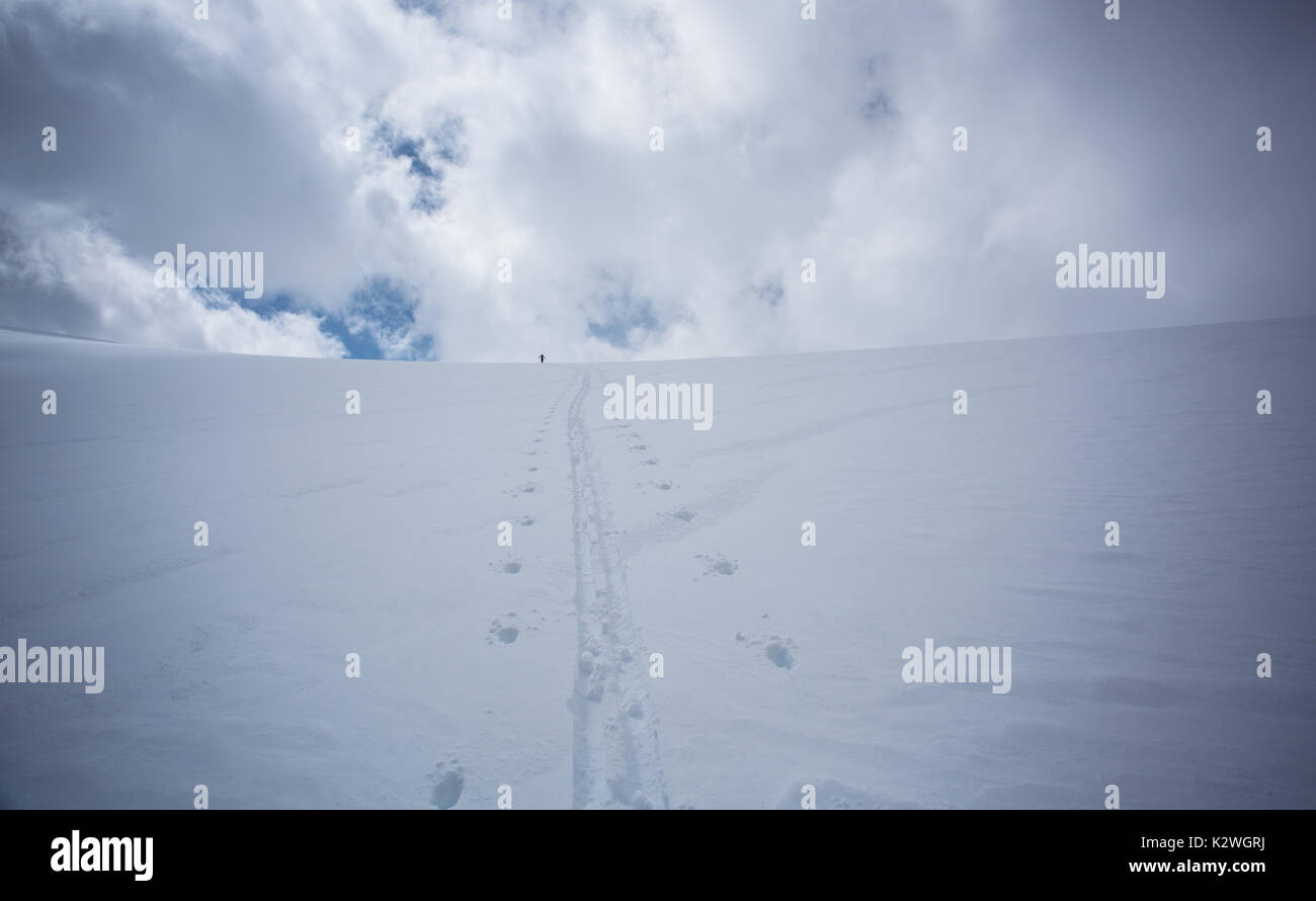 Sci alpinismo sul ghiacciaio Wapta Foto Stock