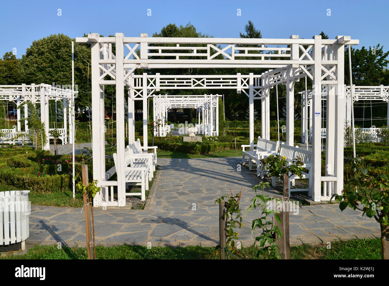 La città di Timisoara Romania Rose Park dettaglio da banco Foto Stock