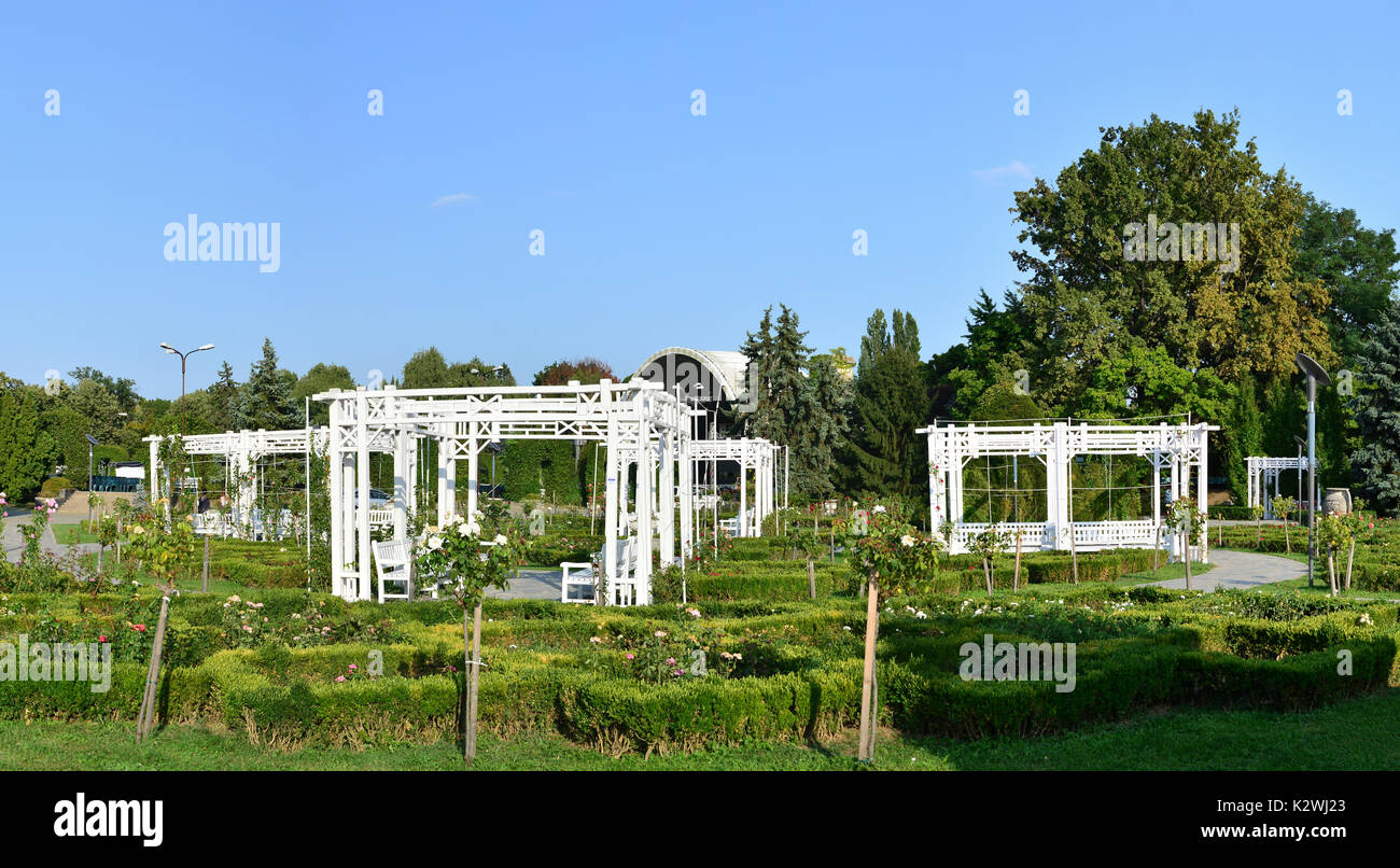La città di Timisoara Romania Roses il parco giardino panorama Foto Stock