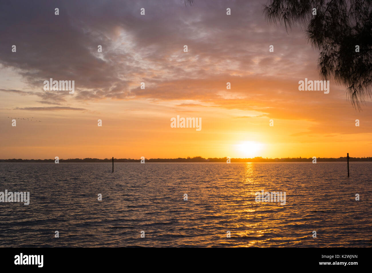 Alba da Jaycee Park, Cape Coral FL, Foto Stock