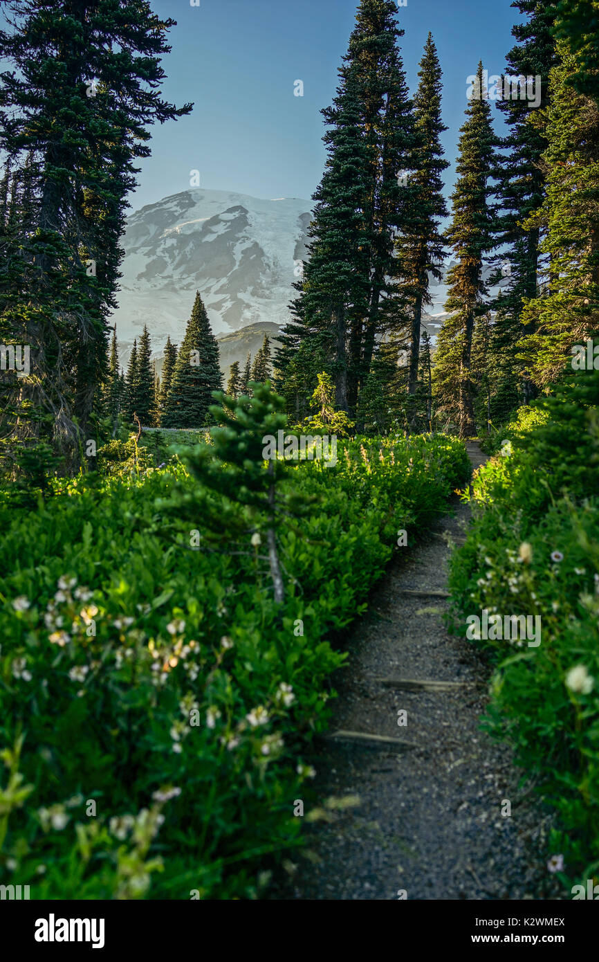 Questa è la foto del sentiero che conduce alla montagna presso il Parco Nazionale del Monte Rainier, Washington. Foto Stock