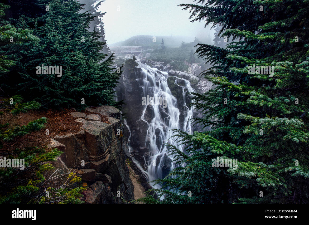 Questa è la foto di mirto cade insenature presso il Parco Nazionale del Monte Rainier quando c'è la nebbia. Foto Stock