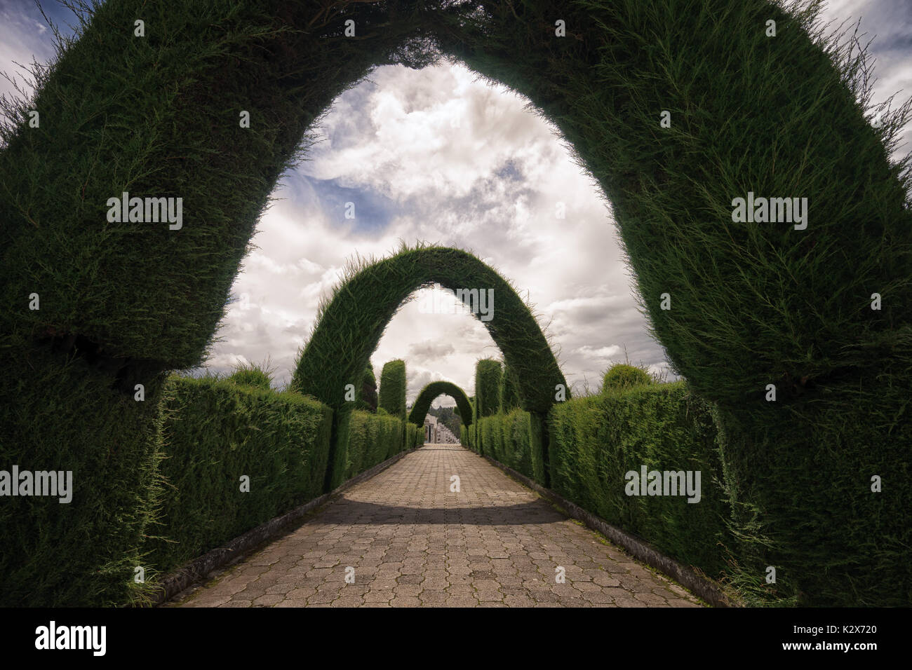 Evergreen Topiaria da cipressi in Tulcan Ecuador cimitero una popolare destinazione turistica Foto Stock