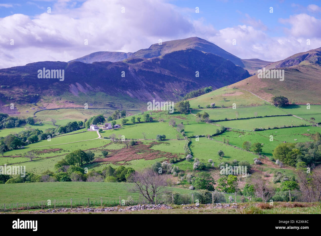 Viste di Newlands valley da Ard falesie con Hindscarth e colline di Robinson, Lake District, Cumbria, Inghilterra Foto Stock