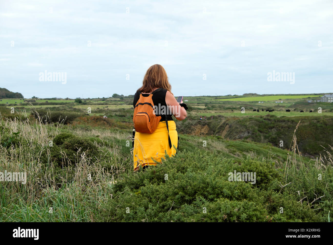 Donna con zaino tenendo iphone mobile phone photo lungo la costa del Galles percorso tra St Non & Porthclais in estate Pembrokeshire UK KATHY DEWITT Foto Stock