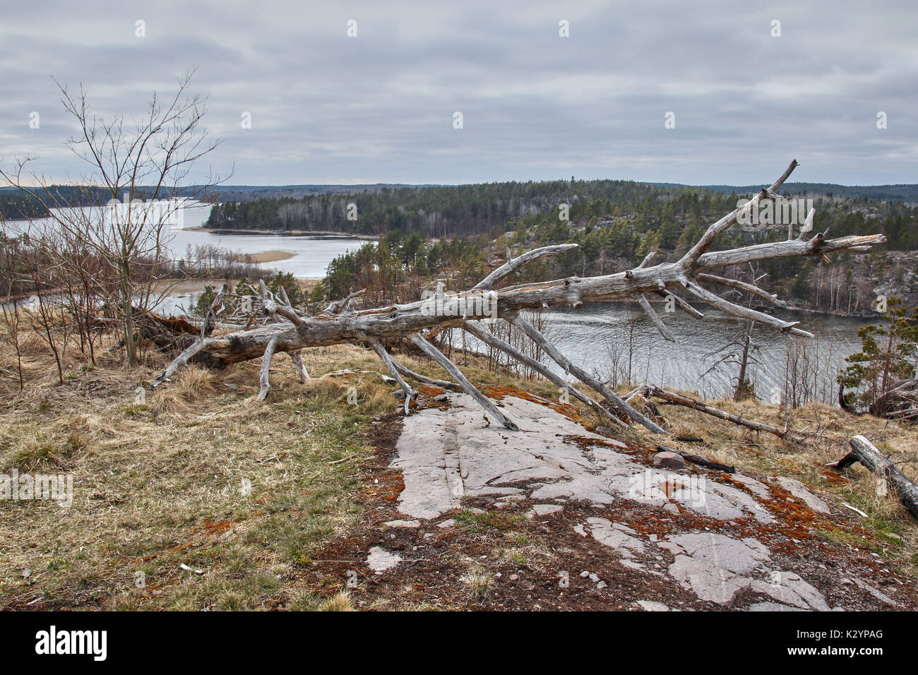 Un viaggio attraverso il lago Ladoga in maggio Foto Stock