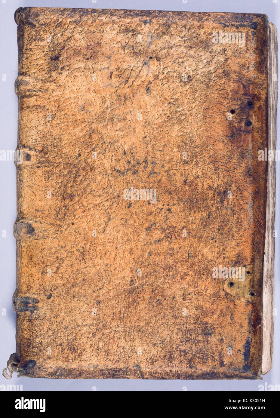 Coperchio del manoscritto illuminato, 'Claustrum animae, ' da pannelli di legno e di maiale, scritto in Germania, 2013. Foto Stock
