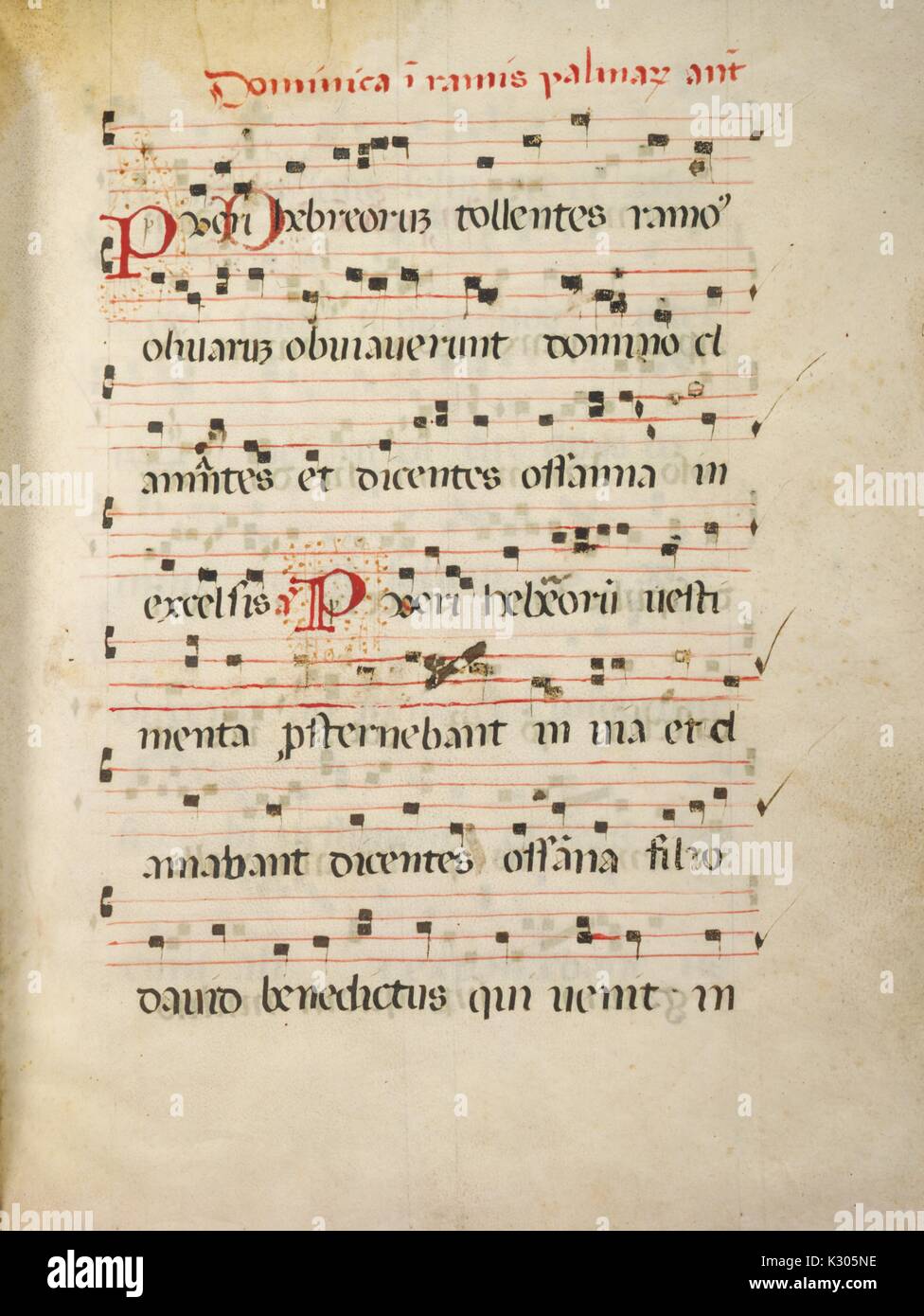 Manoscritto illuminato pagina di musica dalla 'Dominica in ramis palmarum antiphonarium, ' un antifonario latina da parte della Chiesa Cattolica, 2013. Foto Stock