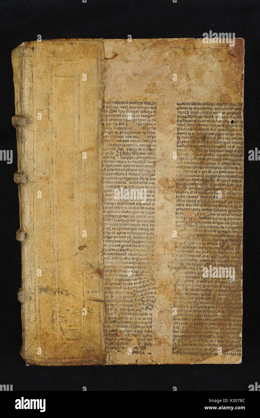 Manoscritto illuminato dalla pagina "Plinio Naturalis historia, 1474. Foto Stock