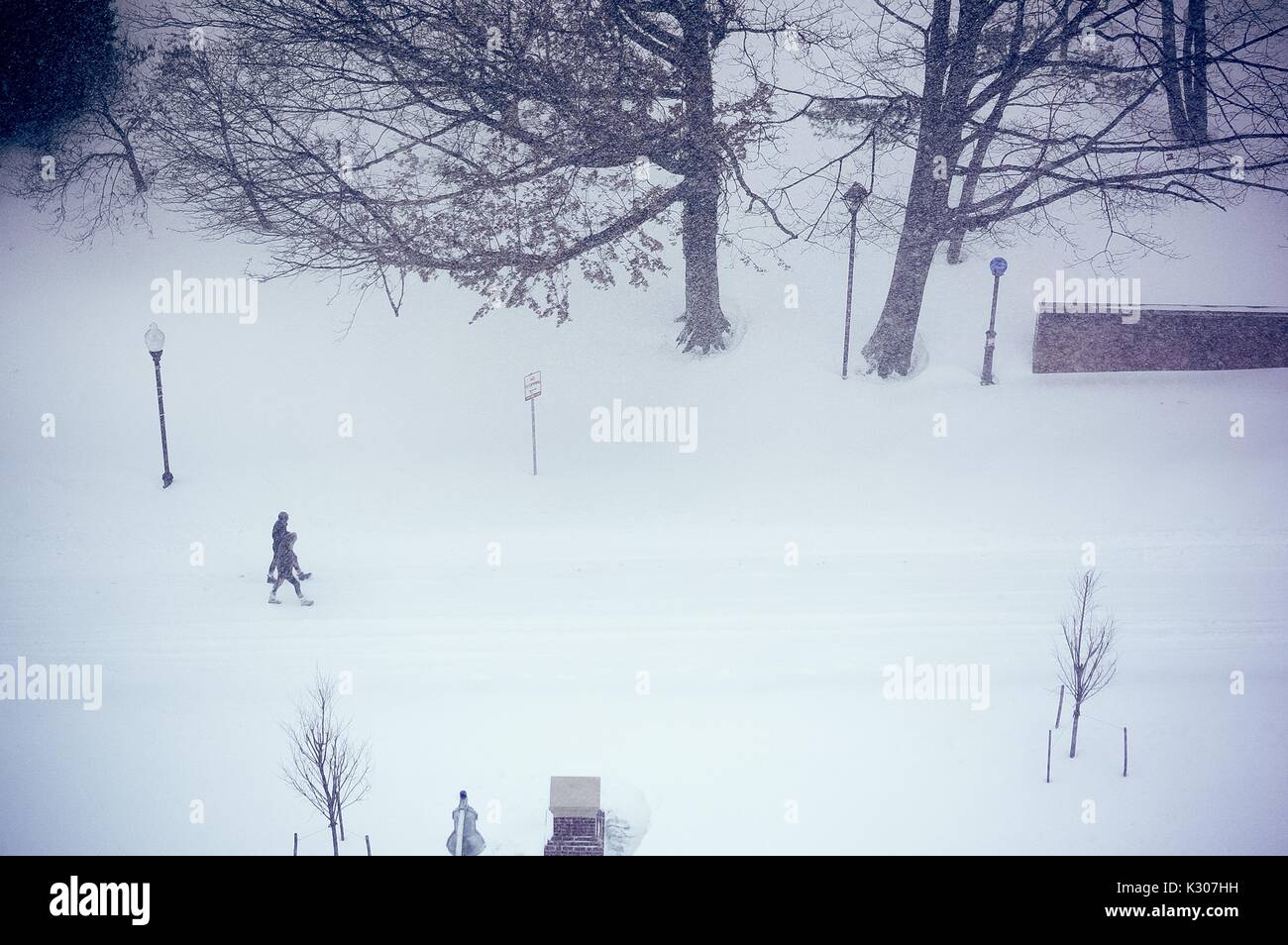 Due studenti a piedi lungo Charles Street ricoperta di neve con lampioni e alberi aggettanti dal bianco, durante una giornata sulla neve alla Johns Hopkins University, Baltimora, Maryland, 2016. Foto Stock