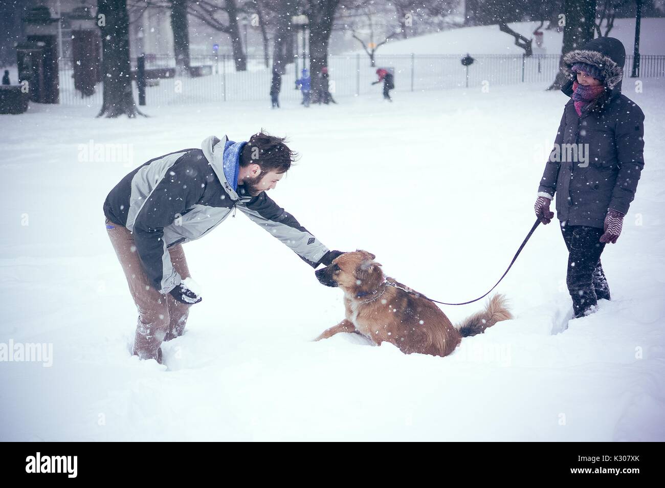 Un uomo vestito in marcia sulla neve si piega verso il basso per il pet il suo cane nella neve, mentre il suo proprietario lo trattiene dal guinzaglio, durante una giornata sulla neve alla Johns Hopkins University, Baltimora, Maryland, 2016. Foto Stock