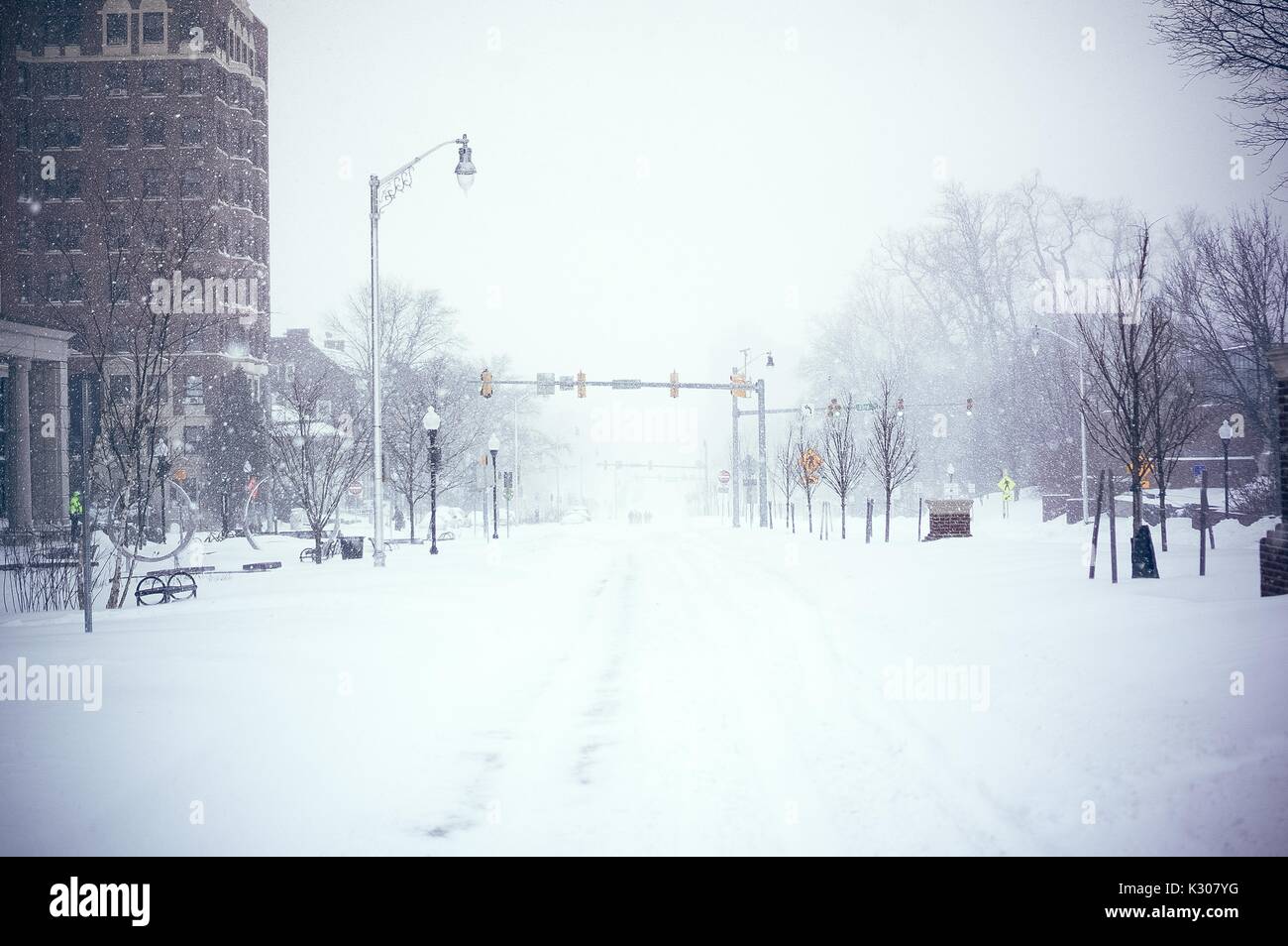 Un vuoto di arresto del traffico su Charles Street coperto di neve nella parte anteriore della Johns Hopkins University, Baltimora, Maryland, 2016. Foto Stock