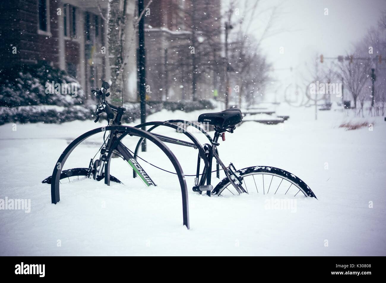 Una bicicletta bloccato su una cremagliera su Charles Street sta coperto in tre metri di neve nella parte anteriore della Johns Hopkins University, Baltimora, Maryland, 2016. Foto Stock