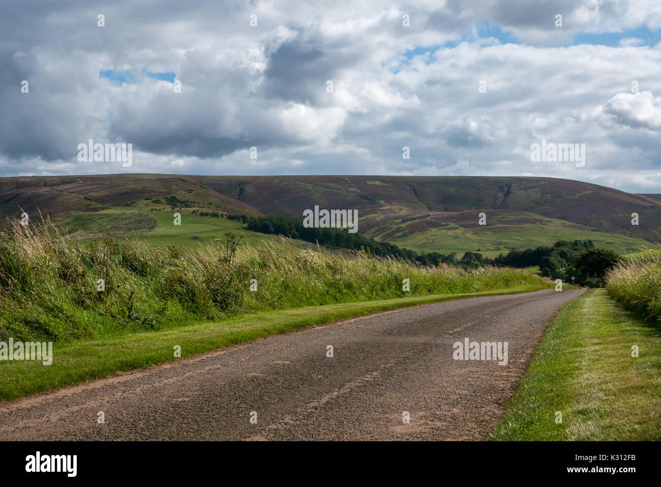 Strada che conduce al serbatoio di speranze in Lammermuir Hills, East Lothian, Scozia, con viola heather pendii in estate Foto Stock